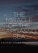 Cartel de la película The Miracle of the Sargasso Sea - Foto 9 por un ...