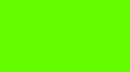 Bright Green Wallpaper - WallpaperSafari