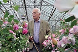 David Austin's Guide to English Roses | What's On? By C&TH - What's On ...