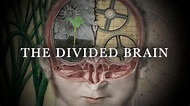 The Divided Brain - Trailer (2018) - YouTube