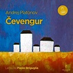 Čevengur, Andrej Platonov | 9791280409171 | Boeken | bol.com