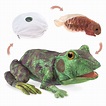 NEW PLUSH SOFT TOY Folkmanis 3115 Frog Life Cycle Tadpole Full Body ...