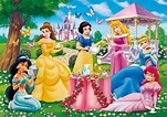 Disney Princess - Princesses Disney photo (33889819) - fanpop