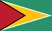 Flag of Guyana 🇬🇾, image & brief history of the flag