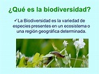 Mensajes e imágenes para el Día Mundial de la Biodiversidad: 22 de mayo ...