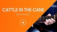 Cattle in the Cane - Beginner Solo [Guitar] - YouTube