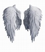 White angel wings PNG transparent image download, size: 1024x1192px