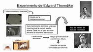 Resumen de la Teoría de Thorndike: Todo lo que necesitas saber ★ Teoría ...