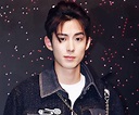 Dylan Wang Biography – Facts, Childhood, Family Life of Chinese Actor ...