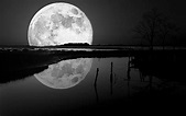 Black Moon Wallpapers - Top Free Black Moon Backgrounds - WallpaperAccess