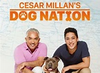Cesar Millan's Dog Nation Season 1 Episodes List - Next Episode