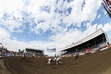 Ponoka PBR to bring big names to Canada's heart of rodeo ...