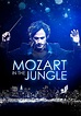 Regarder la série Mozart in the Jungle streaming