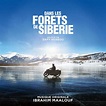 Dans les forêts de Sibérie | CineMarche Asbl