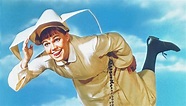 'The Flying Nun': Sally Field Was No Fan, But Viewers Loved It