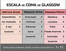 Escala de Glasgow: qué es y para qué sirve | EdicionesAmargord©