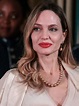 Vanessa Holt Info: Angelina Jolie 2023 News