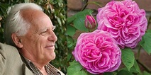 In memoriam: Photos of David Austin’s most beautiful roses - Starts at 60