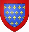 John Tristan, Count of Valois. | Coat of arms, Medieval banner ...
