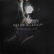 Peter Murphy - Mr. Moonlight Tour 35 Years Of Bauhaus (2014, Green ...