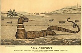 The Sea Serpent - Sporting Classics Daily