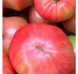 Tomate rosa de Barbastro Eco - Semillas Hortícolas Autóctonas