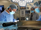 Ortopedia y Traumatología Veterinaria | Hospital Veterinario Puchol