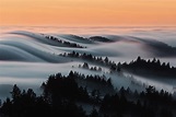 Interesting Photo of the Day: Rolling Fog at Mount Tamalpais