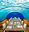 Dreamy Maldives Underwater Hotel (Look Inside) | Tropikaia