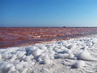 Ausflüge von Walvis Bay: Flamingos und Düne 7 • weitglücklich