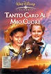 Tanto caro al mio cuore (1949) | FilmTV.it