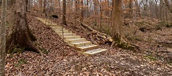 Walking Trail Steps Design Build – Nature Trails