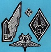 Starship Troopers Mobile Infantry Embroidered Patch by Katarra8