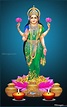 Mahalakshmi Laxmi Devi Images Hd Wallpapers Download - Animaltree