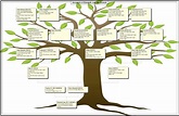 Family Tree Chart Explanation