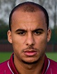 Gabriel Agbonlahor - player profile 15/16 | Transfermarkt