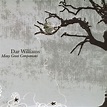 The Beauty Of The Rain - song and lyrics by Dar Williams | Spotify