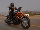 Harley Davidson estrena su canal de Televisión 24 Horas | Motosonline.net