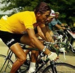 Exposition. Jacques Anquetil : hommage à un grand cycliste | La Gazette ...