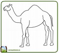 99 DIBUJOS DE CAMELLOS ® Camellos para colorear infantiles