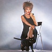 Tina Turner - Private Dancer - Vinyl Pussycat Records
