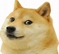 Doge Roblox T Shirt : Karen where are my robux trapped doge know your meme.