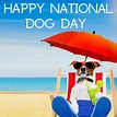 National Dog Day | August 26, 2024 - Calendarr