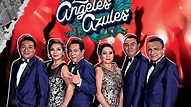Los Ángeles Azules darán concierto por su 40 aniversario; Estos son los ...