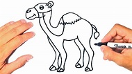 Descubrir 81+ pasos para dibujar un camello mejor - vietkidsiq.edu.vn