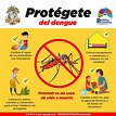 Protégete del dengue - Seguridad Social Ahora