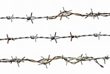 5 Different Types of Barbed Wire - Homeporio