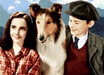 Film Review: Lassie Come Home