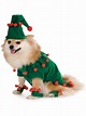 Disfraz de elfo navideño para perro. Entrega 24h | Funidelia