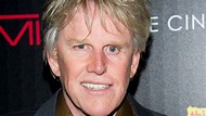 Gary Busey charged with sex offenses after a New Jersey fan convention
